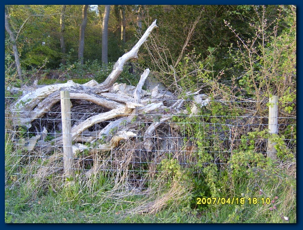 600x449 pixels (233K)